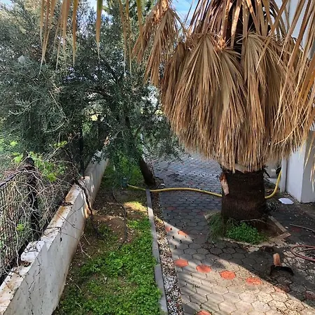 Alsancak